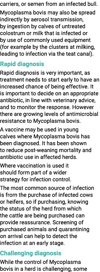 carriers, or semen from an infected bull. Mycoplasma bovis may also be spread indirectly by aerosol transmission, by ...