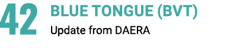 42 Blue Tongue (BVT) Update from DAERA