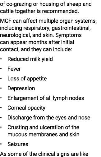 of co grazing or housing of sheep and cattle together is recommended. MCF can affect multiple organ systems, includin...
