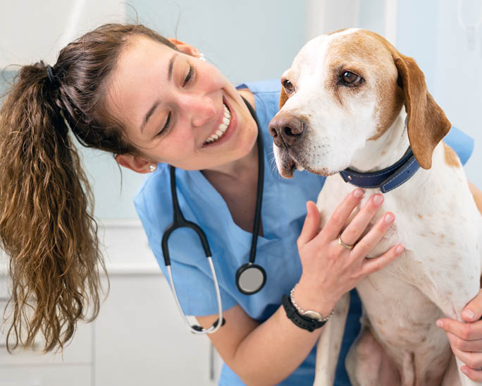 Young happy veterinary nurse smiling while playing with a dog. High quality photo