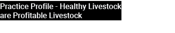 Practice Profile Healthy Livestock are Profitable Livestock 