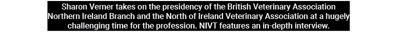 Sharon Verner takes on the presidency of the British Veterinary Association Northern Ireland Branch and the North of ...