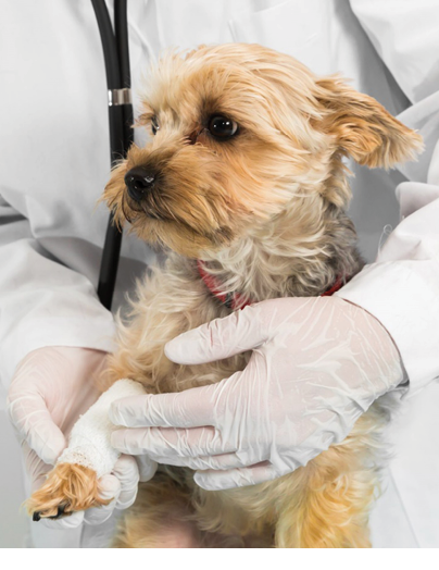 CVS Group cyber attack caused widespread disruption