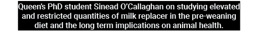 Queen’s PhD student Sinead O’Callaghan on studying elevated and restricted quantities of milk replacer in the pre wea...