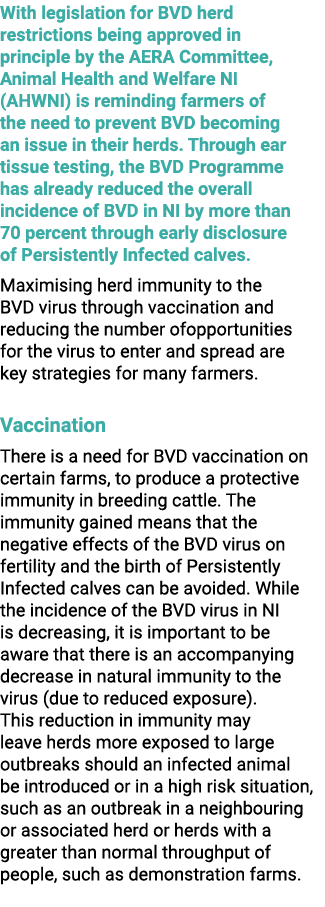 With legislation for BVD herd restrictions being approved in principle by the AERA Committee, Animal Health and Welfa...