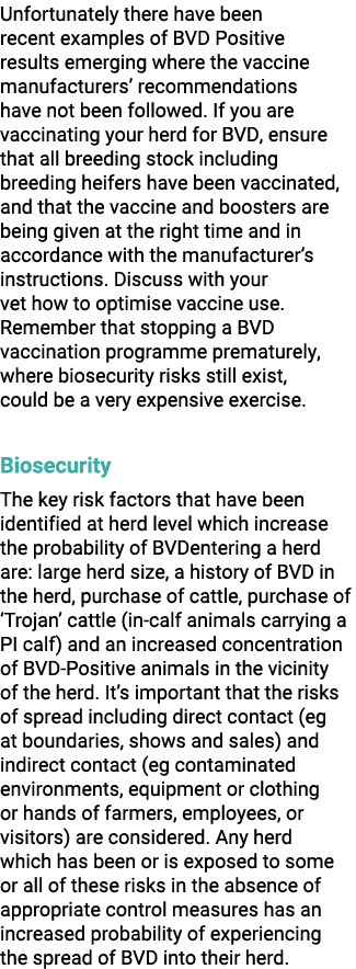 Unfortunately there have been recent examples of BVD Positive results emerging where the vaccine manufacturers’ recom...