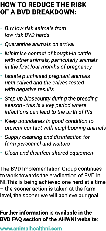 How to reduce the risk of a BVD breakdown: • Buy low risk animals from low risk BVD herds • Quarantine animals on arr...