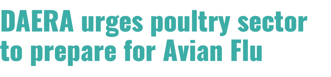 DAERA urges poultry sector to prepare for Avian Flu 