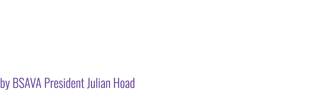 Celebrating Veterinary Progress – A Review of 2024 by BSAVA President Julian Hoad