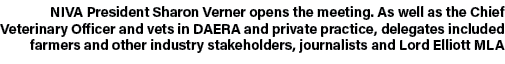 NIVA President Sharon Verner opens the meeting. As well as the Chief Veterinary Officer and vets in DAERA and private...