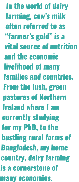 In the world of dairy farming, cow’s milk often referred to as “farmer’s gold” is a vital source of nutrition and the...