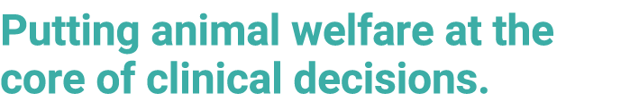 Putting animal welfare at the core of clinical decisions.