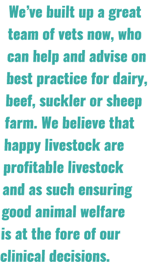 We’ve built up a great team of vets now, who can help and advise on best practice for dairy, beef, suckler or sheep f...