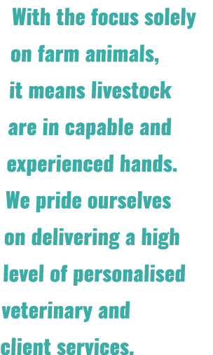 With the focus solely on farm animals, it means livestock are in capable and experienced hands. We pride ourselves on...