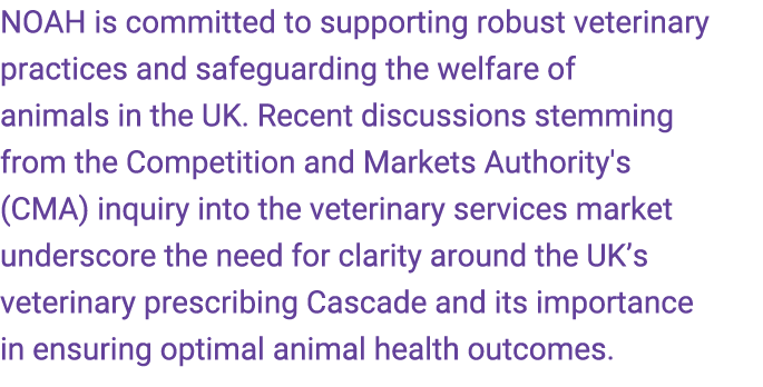 NOAH is committed to supporting robust veterinary practices and safeguarding the welfare of animals in the UK. Recent...