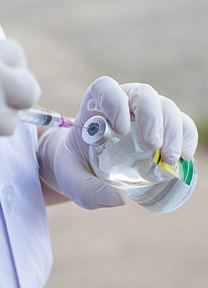 veterinary, work Outdoors