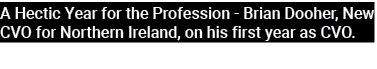 A Hectic Year for the Profession Brian Dooher, New CVO for Northern Ireland, on his first year as CVO. 