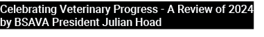 Celebrating Veterinary Progress A Review of 2024 by BSAVA President Julian Hoad 