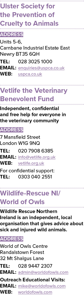 Ulster Society for the Prevention of Cruelty to Animals ADDRESS Units 5 6, Carnbane Industrial Estate East Newry BT35...