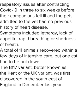 respiratory issues after contracting Covid-19 in three to six weeks before their companions fell ill and the pets adm   