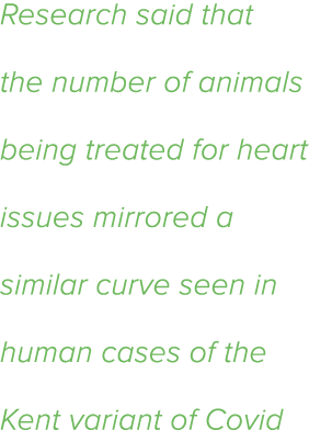 Research said that the number of animals being treated for heart issues mirrored a similar curve seen in human cases    