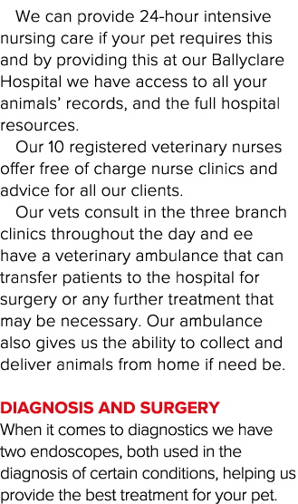 We can provide 24-hour intensive nursing care if your pet requires this and by providing this at our Ballyclare Hospi   