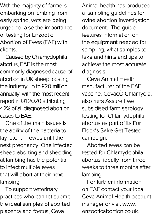 With the majority of farmers embarking on lambing from early spring, vets are being urged to raise the importance of    