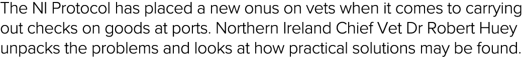 The NI Protocol has placed a new onus on vets when it comes to carrying out checks on goods at ports  Northern Irelan   