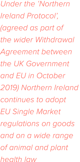 Under the  Northern Ireland Protocol , (agreed as part of the wider Withdrawal Agreement between the UK Government an   