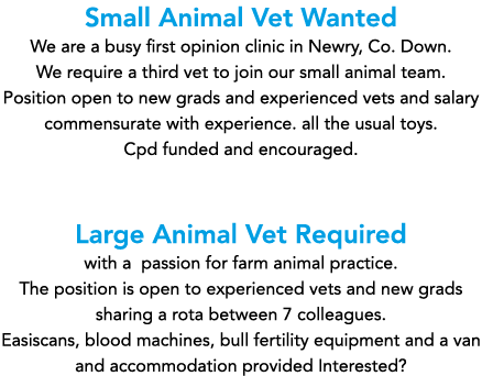 Small Animal Vet Wanted We are a busy first opinion clinic in Newry, Co  Down  We require a third vet to join our sma   