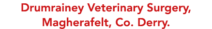 Drumrainey Veterinary Surgery, Magherafelt, Co  Derry 