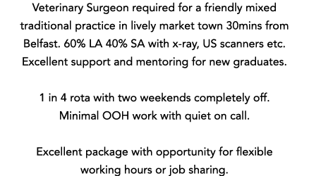 Veterinary Surgeon required for a friendly mixed traditional practice in lively market town 30mins from Belfast  60%    