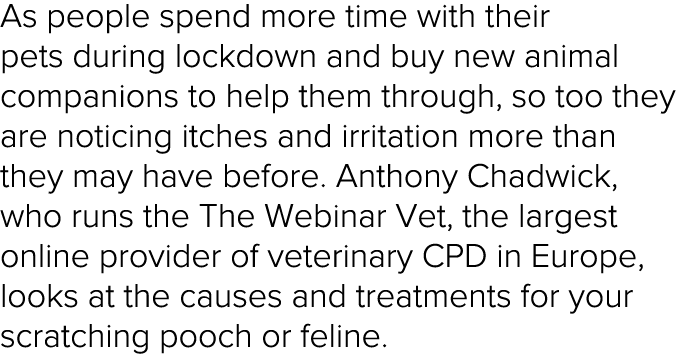 As people spend more time with their pets during lockdown and buy new animal companions to help them through, so too    