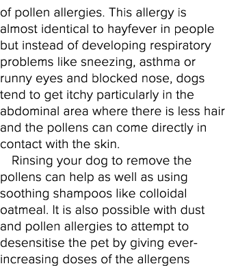of pollen allergies  This allergy is almost identical to hayfever in people but instead of developing respiratory pro   