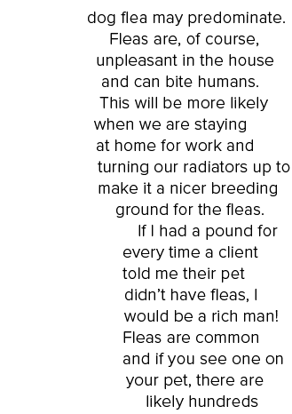 dog flea may predominate  Fleas are, of course, unpleasant in the house and can bite humans  This will be more likely   