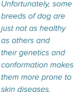 Unfortunately, some breeds of dog are just not as healthy as others and their genetics and conformation makes them mo   