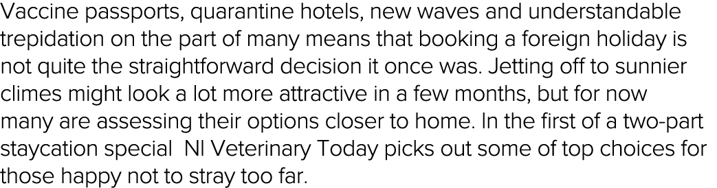Vaccine passports, quarantine hotels, new waves and understandable trepidation on the part of many means that booking   