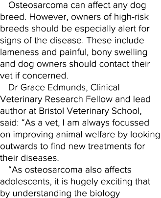 Osteosarcoma can affect any dog breed  However, owners of high-risk breeds should be especially alert for signs of th   
