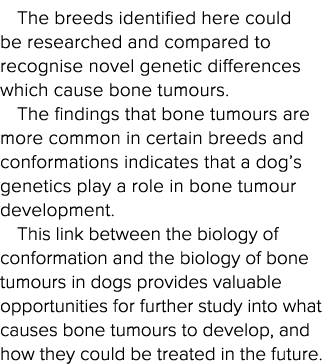 The breeds identified here could be researched and compared to recognise novel genetic differences which cause bone t   