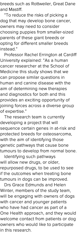 breeds such as Rottweiler, Great Dane and Mastiff    To reduce the risks of picking a dog that may develop bone cance   