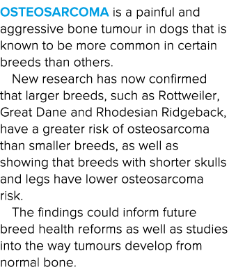 Osteosarcoma is a painful and aggressive bone tumour in dogs that is known to be more common in certain breeds than o   