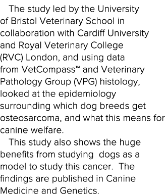 The study led by the University of Bristol Veterinary School in collaboration with Cardiff University and Royal Veter   