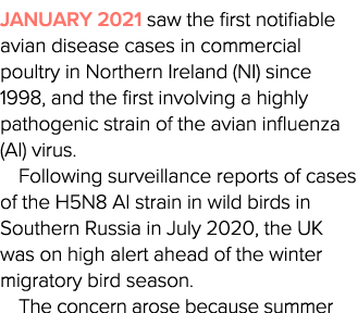 January 2021 saw the first notifiable avian disease cases in commercial poultry in Northern Ireland (NI) since 1998,    