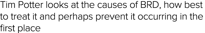 Tim Potter looks at the causes of BRD, how best to treat it and perhaps prevent it occurring in the first place 