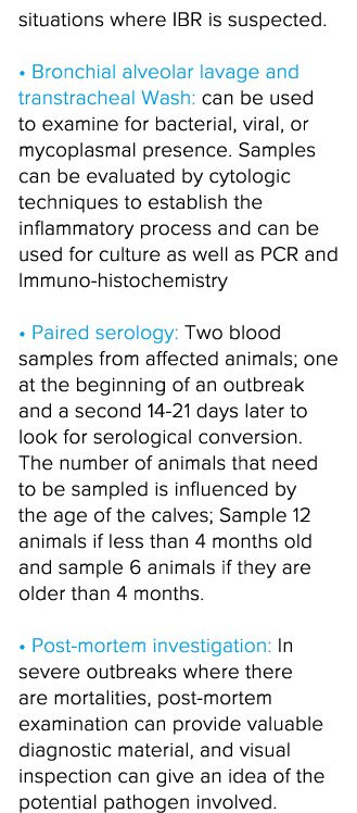 situations where IBR is suspected     Bronchial alveolar lavage and transtracheal Wash: can be used to examine for ba   
