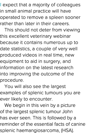I expect that a majority of colleagues in small animal practice will have operated to remove a spleen sooner rather t   