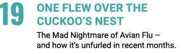 19 One Flew Over the Cuckoo’s Nest The Mad Nightmare of Avian Flu – and how it’s unfurled in recent months.