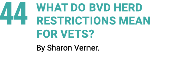 44 What do BVD Herd Restrictions mean for vets? By Sharon Verner.