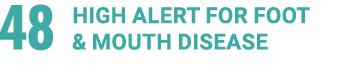 48 High Alert for Foot & Mouth Disease 