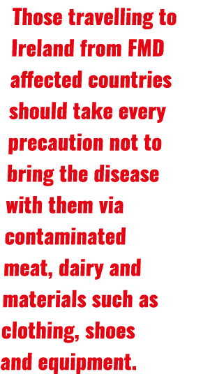Those travelling to Ireland from FMD affected countries should take every precaution not to bring the disease with th...